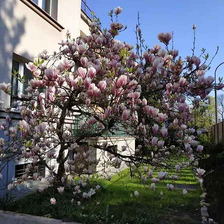 Apartment Prusa 37 Center 100 M2 3 Bedrooms Parking Krakow